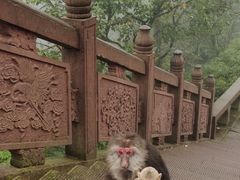 -峨眉山风景名胜区