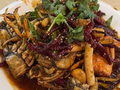 -杨氏青龙虾·羊蝎子(珠江路店)