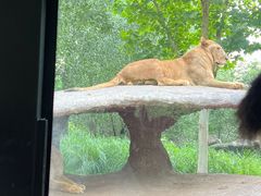 -北京野生动物园