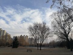 -望湖公园