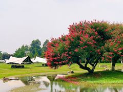 -夏河溪乡野公园