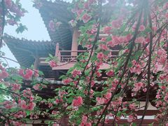 -西安青龙寺遗址景区