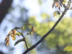 -大觉寺-停车场