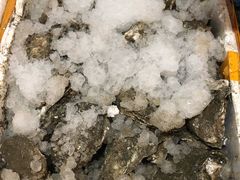 -湛江明记(湛江鸡湛江生蚝)