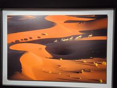 -罗红摄影艺术馆