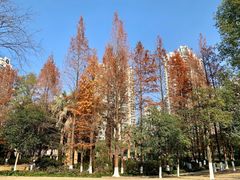 -苏州河梦清园环保主题公园