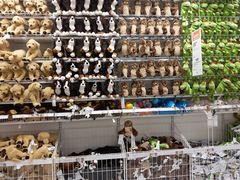 -宜家家居(哈尔滨商场店)