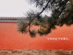 -故宫博物院(故宫)