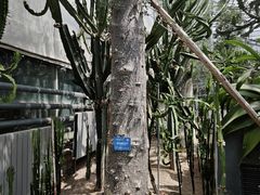 -南山植物园