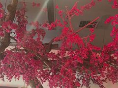 -小江南(老洋桥店)