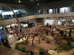 -自贡恐龙博物馆