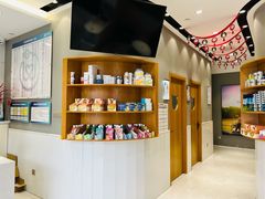 -关爱宠物医院·猫科中心·消化科(滨湖万达分院)