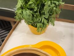 -润园四季椰子鸡火锅(南山海岸城店)