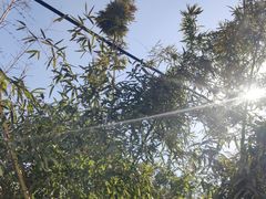 -寻味乌镇·龙虾烧烤