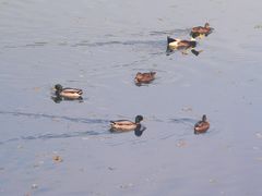 -太阳宫公园