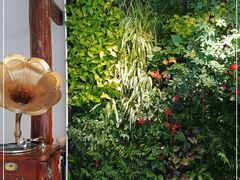 -后海16号·北京私房菜