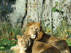 -北京野生动物园