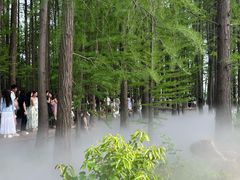-东湖落雁景区