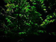 -欢乐牧场海鲜烤肉自助(牡丹园店)