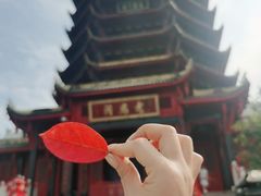 -青城山