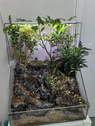 -苗塑堂减肥·艾灸