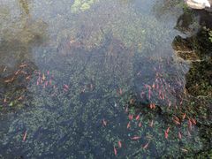 -水磨沟公园