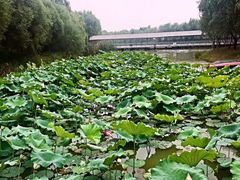 -泰安地下龙宫景区
