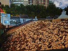 -普朗姆生蚝吧(原建国路店)