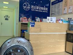 -芭比堂动物医院广州顽皮分院