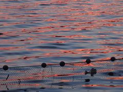 -艾溪湖湿地公园