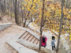 -大岭沟猕猴桃谷风景区