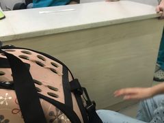 -贝利宠物医院·骨科·眼科·肿瘤转诊中心(南坪诊疗中心)