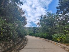 -北京西山国家森林公园