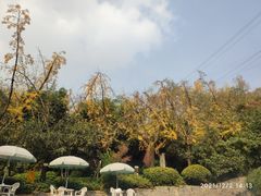 -融汇温泉