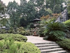 -南山植物园