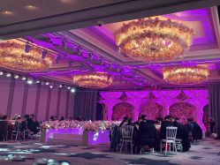 -曼格纳婚礼艺术中心(张江店)