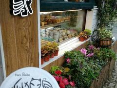 -狐狸家·酸奶酪专门店(平江路店)