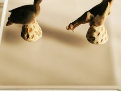 -北京动物园-畅观楼