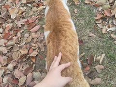 -华东政法大学(松江校区)