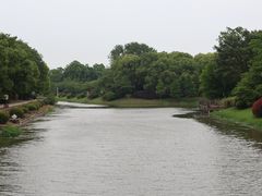 -上海海湾国家森林公园