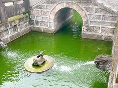 -宁波溪口古镇-民国大杂院