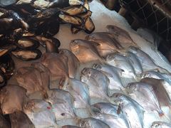 -韩风源自助烤肉(国贸精品店)