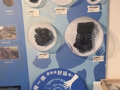 -浙江自然博物院(杭州馆)