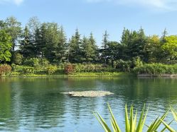 -天邑国际酒店·宴会厅