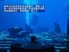 -三亚亚特兰蒂斯度假区