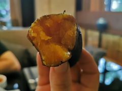 -苏州金科大酒店