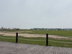 -盐城丹顶鹤湿地生态旅游区