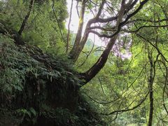 -西岭雪山大飞水景区