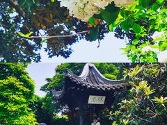 -何园