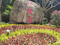 -野狸岛